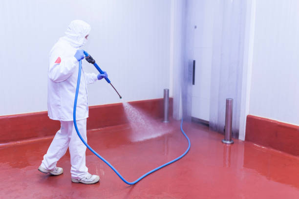 Best Heavy Equipment Washing  in Stockton University, NJ