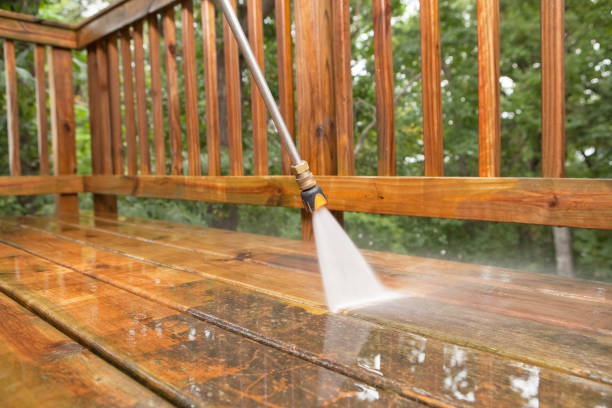 Best Dumpster Area Cleaning  in Stockton University, NJ